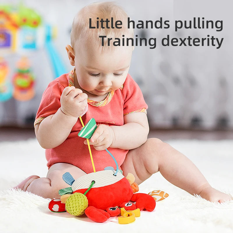 Baby Sensory Hanging Toy