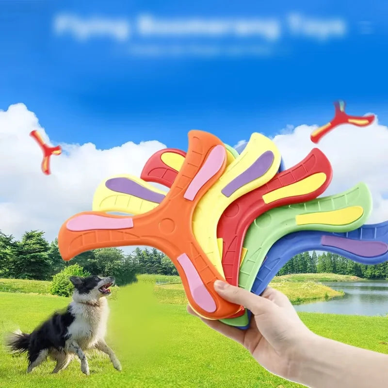 Returning Boomerang Flying Disc