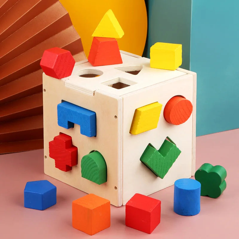 Montessori Shape Matching Intelligence Box