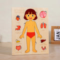 Montessori Human Body Puzzle