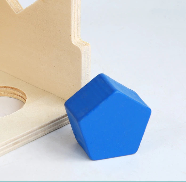 Montessori Shape Matching Intelligence Box