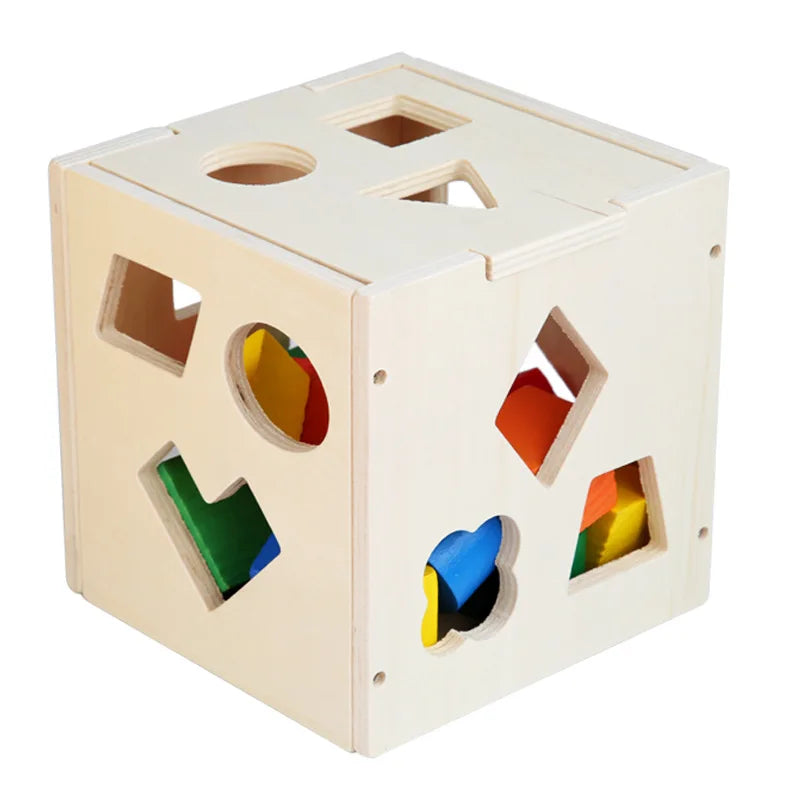 Montessori Shape Matching Intelligence Box