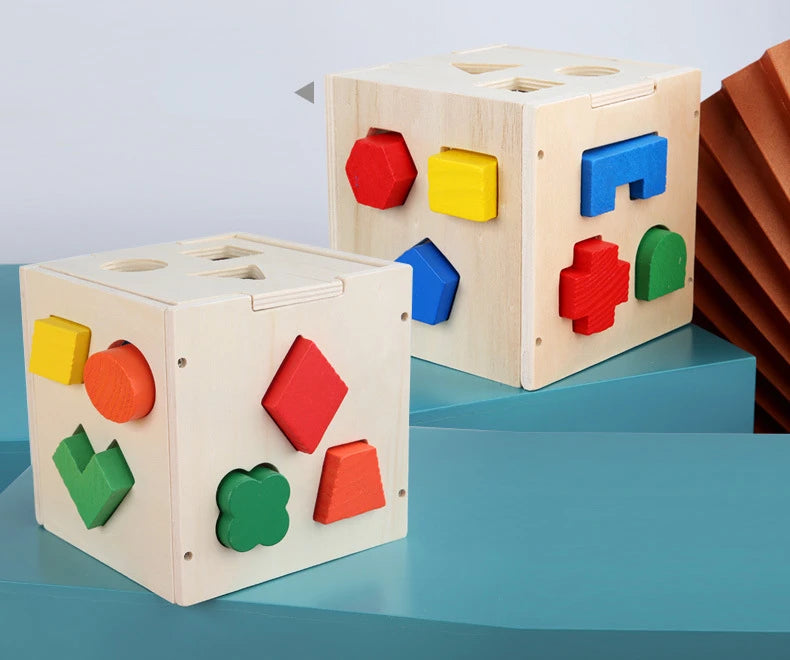 Montessori Shape Matching Intelligence Box