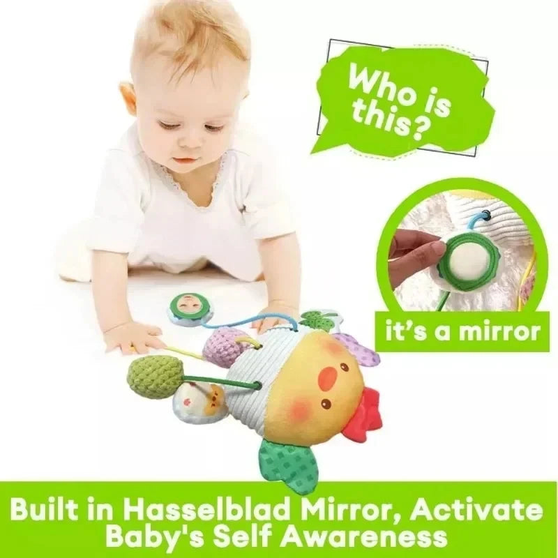 Baby Sensory Hanging Toy