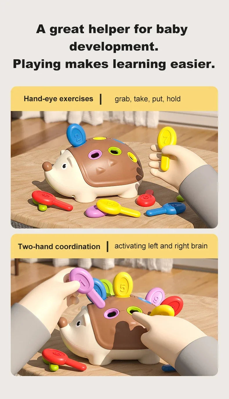 Montessori Hedgehog Fine Motor Toy