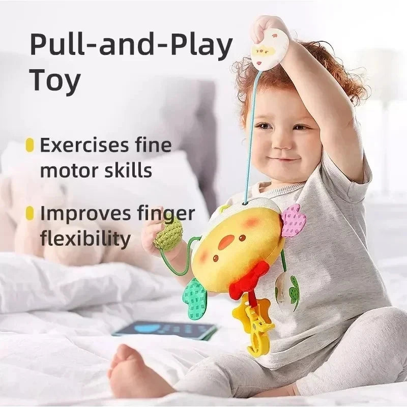 Baby Sensory Hanging Toy