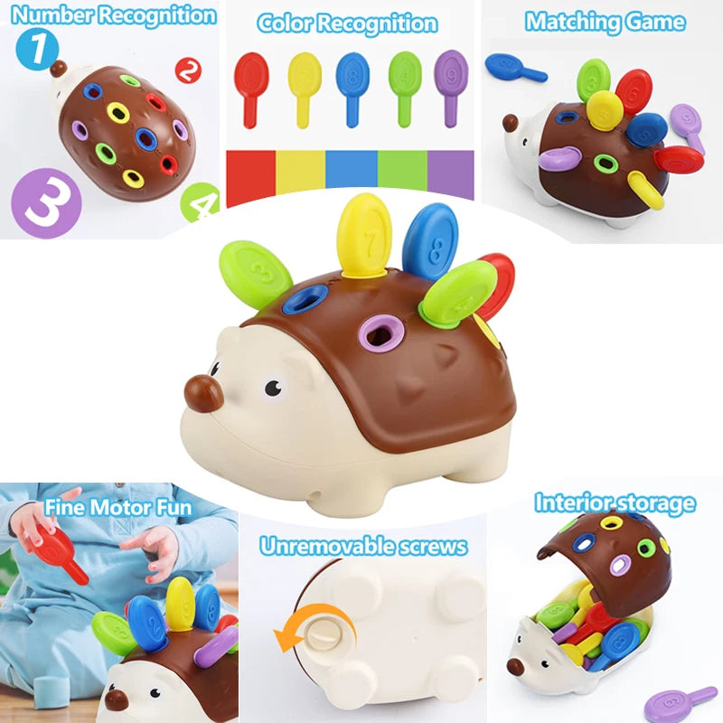 Montessori Hedgehog Fine Motor Toy