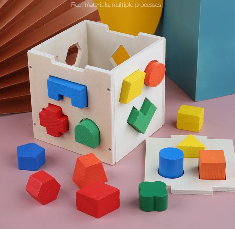 Montessori Shape Matching Intelligence Box