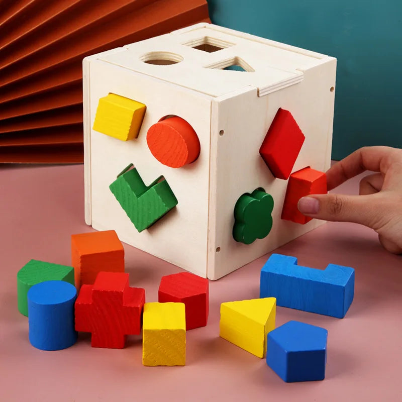 Montessori Shape Matching Intelligence Box