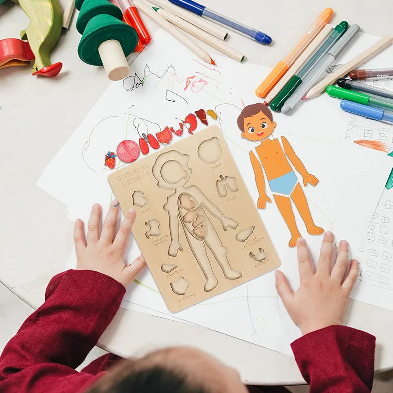 Montessori Human Body Puzzle