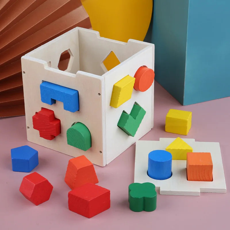 Montessori Shape Matching Intelligence Box