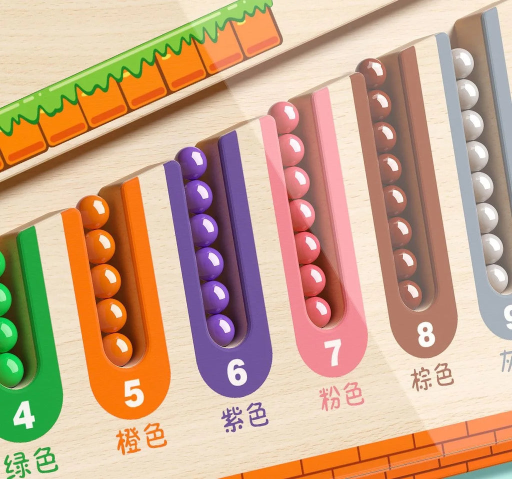 ColorMaze Learning Board