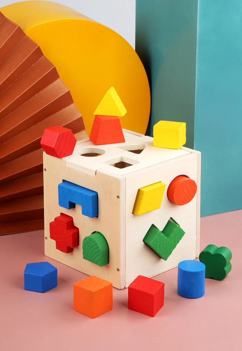 Montessori Shape Matching Intelligence Box