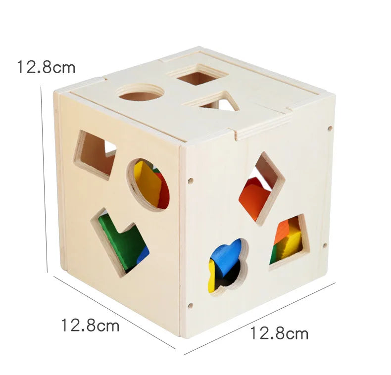 Montessori Shape Matching Intelligence Box