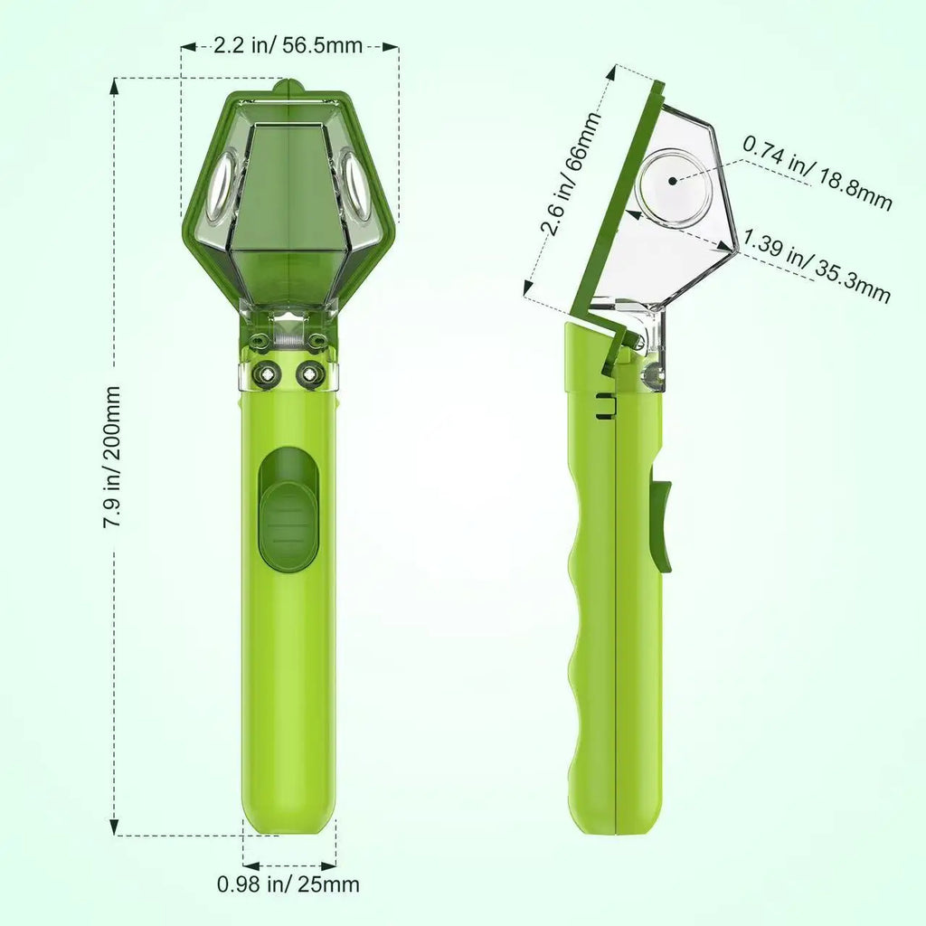 STEM Bug Explorer