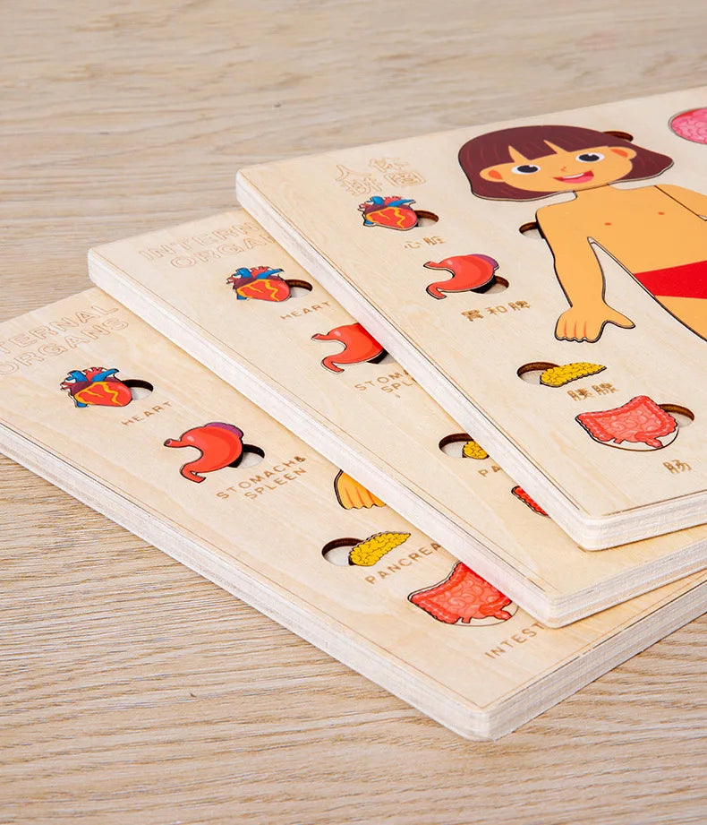 Montessori Human Body Puzzle