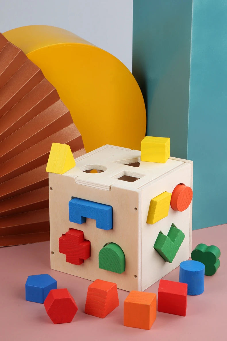 Montessori Shape Matching Intelligence Box