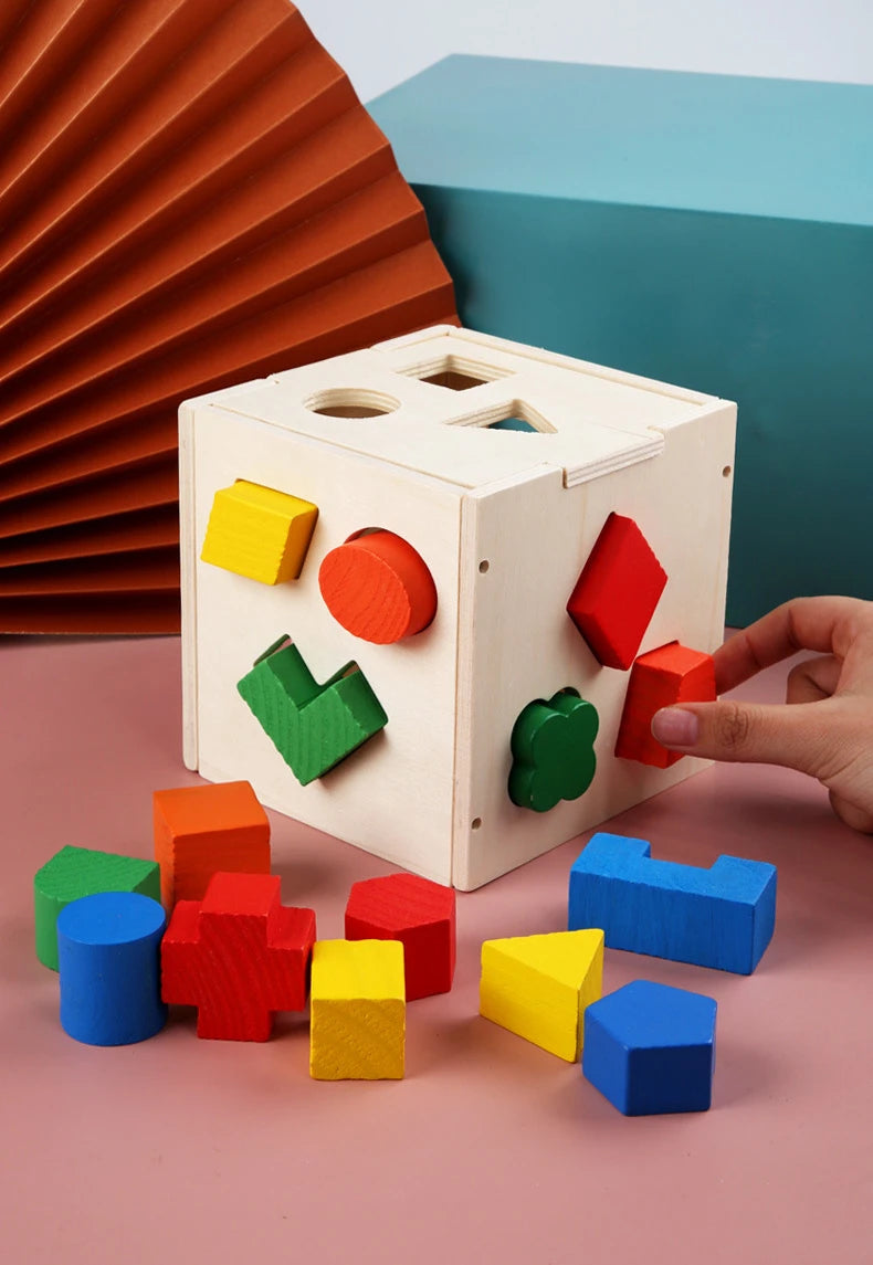 Montessori Shape Matching Intelligence Box